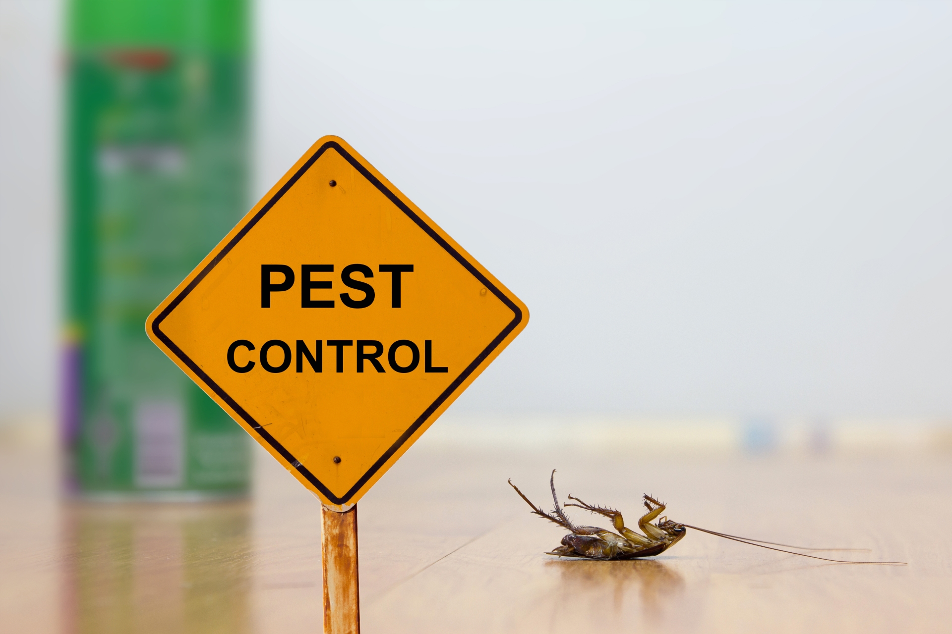 24 Hour Pest Control, Pest Control in Tolworth, Berrylands, KT5. Call Now 020 8166 9746