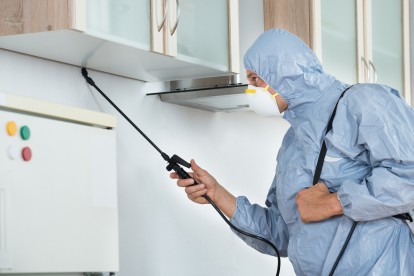 Home Pest Control, Pest Control in Tolworth, Berrylands, KT5. Call Now 020 8166 9746